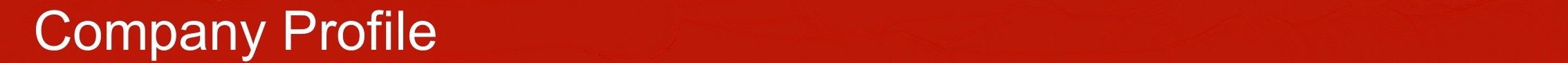 Company Profile ملف الشركة