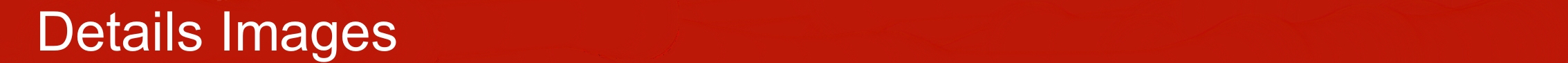 Details Images تفاصيل الصور